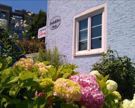 Pension Elisabeth - Rooms & Apartments Hotels in Salzburg