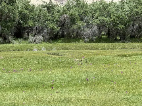 Snowtop Westernmost Lodge · Taxian Thư giãn & Giải trí Photos