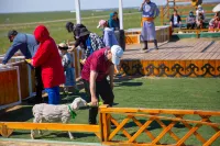 Hulunbuir New Barag Left Banner Barhu Mongolian Tribe Hotel Hotel di New Barag Left Banner