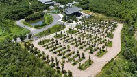 Elephant & Moon Resort, Mogan Mountains - parking