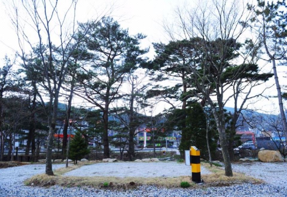 무주수목원캠핑장 후기, 가격 2024 무주군 호텔 추천 | 트립닷컴