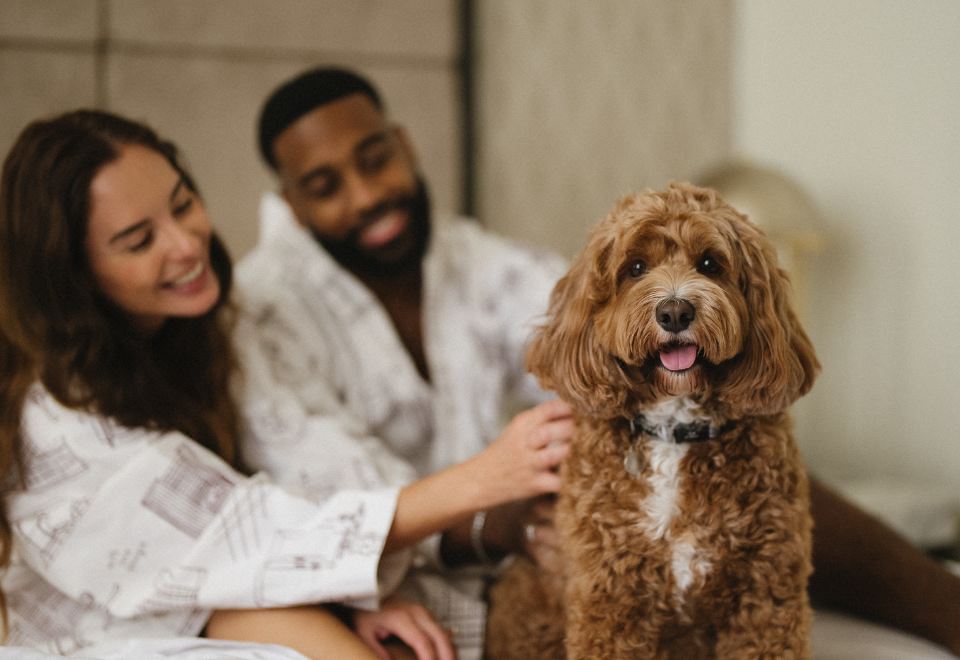 킴프턴 마고트 시드니 주변 편의시설