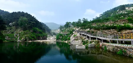 Tranquil Courtyard Homestay Отели в г. Пини