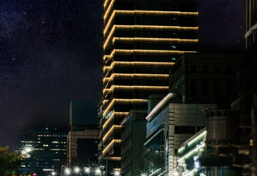 엘리에나 호텔 서울 강남