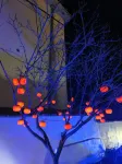 Shanqian Yuexia Homestay