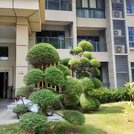 Jin Bi Property Joyful Homestay (Dongning Haifahu Island Store)