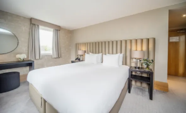 ذا سكولار Hotels near ميدوز