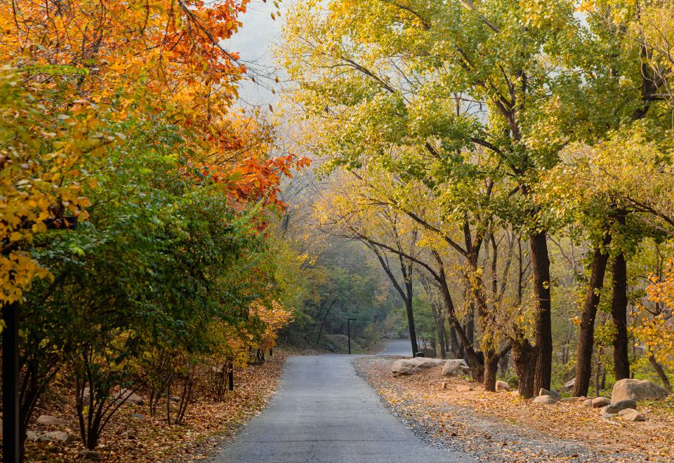 Commune by the Great Wall 전경