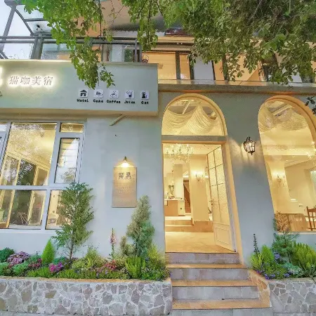 Nanfeng Cat Café Hotel