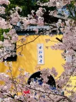 Nanjing Zhongshan Hotel (Jiangsu Conference Center) - غرفة مطلة على الجبل