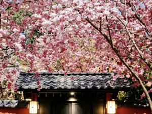 昆明樂道山居溫泉庭院酒店