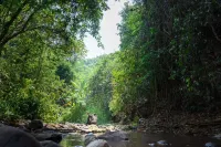 Mengla Naka Rainforest Homestay