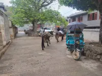 Mojiang County Bixi Ancient Town Gengdu Xiaoyuan Homestay Inn