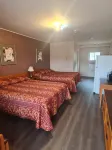 OYO 187 Skyways Motel - parking