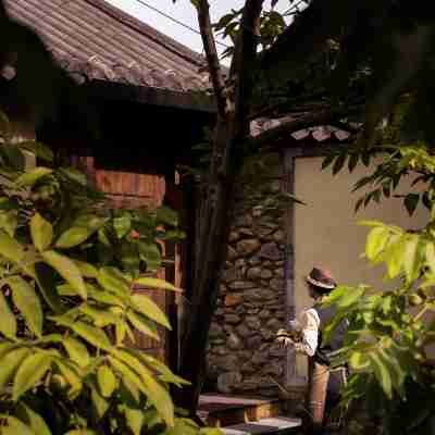 大理木田養山·半山飯店 Rooms