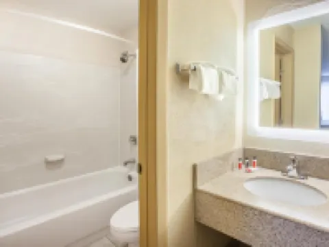 羅姆魯斯底特律大都會機場豪生酒店 羅穆勒斯酒店