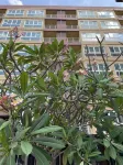 H2Do Hotel - Baarit