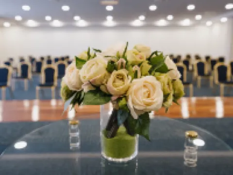 アクアル フラビエ - プレミアム シャベシュ シャベシュのホテル