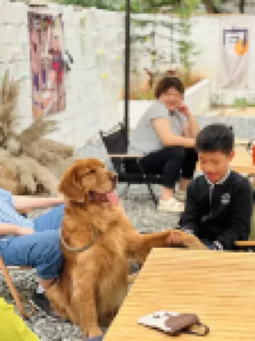 及塢嶼野民宿（假日海灘國際會展中心店） 鄰近假日海灘的酒店