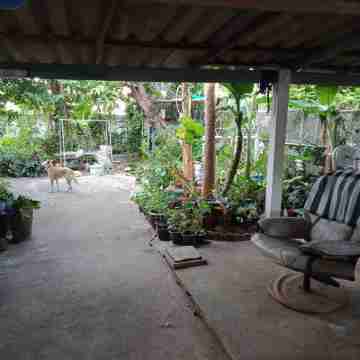 Young and Beautiful Hotel Exterior