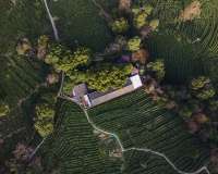 Lushmon Retreat