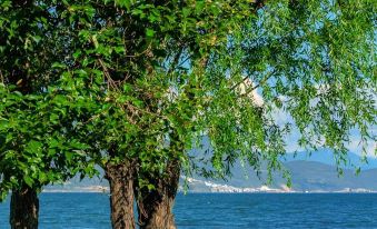 Dali Flower Seaview Holiday Homestay (S Bay Ecological Corridor)