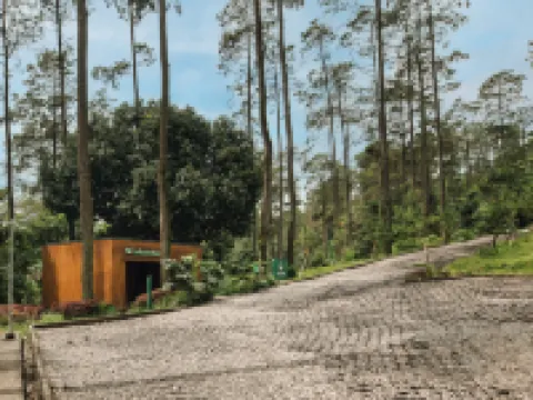 Bobocabin Pacet, Mojokerto Hotels in Pacet