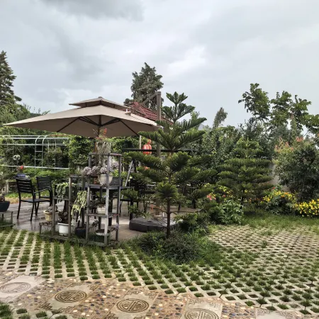 Close to the mountain homestay