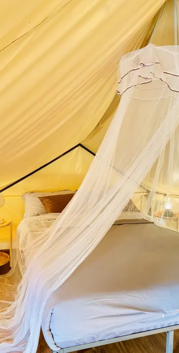 เต็นท์(explorer)