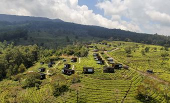 Bobocabin Sukawana Bandung