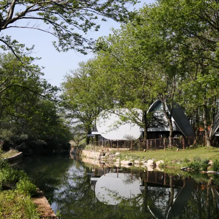 Wanshan Green Paradise Tongyu Tree House Homestay