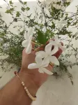 Maison De La Lune Các khách sạn ở Tetouan Province