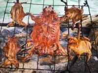 Dawagengzha Ecological Theme Hotel