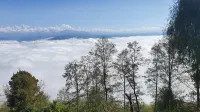 Hotel green valley nagarkot - Mountain view
