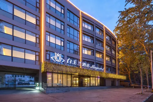 Magnotel Hotel (Handan East Railway Station Municipal Government) - Pet Friendly