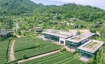 Mogan Mountain Senbo nature park&resort