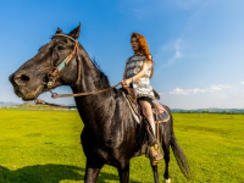 Huishanli-Rewild-Design Guesthouse (Datanzhen) Hoteles en Fengning