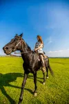 Huishanli-Rewild-Design Guesthouse (Datanzhen) Hotels in Fengning