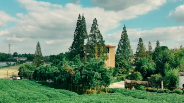 Yousong Mountain Resort Homestay Hotels near Hangzhou Cherry Blossom Garden