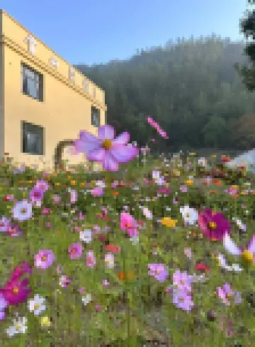Guangde Lingshan Homestay