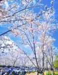 ANDZO·安嶼洲酒店（貴陽觀山湖公園林城西路地鐵站店） - 浪漫/情侶
