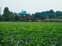 寅ホテル　浅草寺 サニー