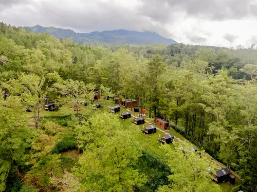 Bobocabin Coban Rondo Malang