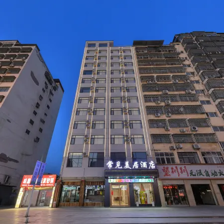 Mercure Hotel (Taikang County Government Branch)