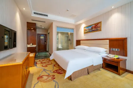 Vienna Hotel (Shenzhen Gongming Square Station)
