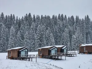 Kongliu KurdeNing bairui Camp