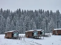 Kongliu KurdeNing bairui Camp Hotels near Kurdenin Scenic Area