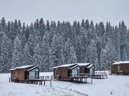 Kongliu KurdeNing bairui Camp