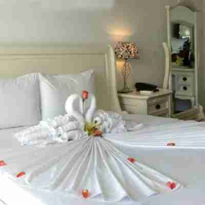 Paragon Villa Hotel Rooms