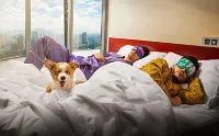 Wink Icon Hotel Danang Riverside - Luxury Suites - 24hrs Stay & Rooftop Pool Bar